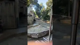 Universal Studios Hollywood Studio Tour Tram The Flash Flood (2024)