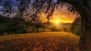 UNDER THE SUN | RELAXING MUSIC | FREE FOR PROFIT USE