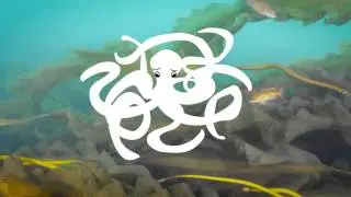 Untangling our Ocean with Regional Ocean Planning
