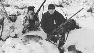 Охота на зайца. Первый выход и первый заяц в новом году. Hunting for a hare