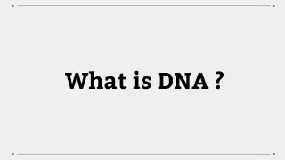 What is DNA?