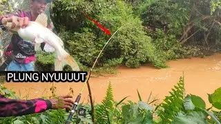 Mancing ikan Baung pas air lagi keruh hasilnya luar biasa_Upan jitu ikan Baung