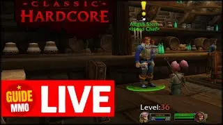 37+ Mage Leveling on Nek´Rosh in Hardcore Classic WoW !Guide !Fulltime !Addons