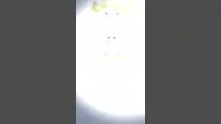 Рафталия/Восхождение героя щита 