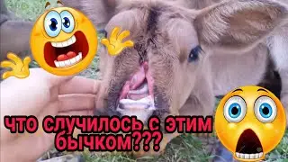 Бул музоо эмнеге мындай туулду?😲 ...