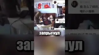 Котик просто хотел внимания