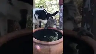 Беды сближают