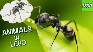ЖИВОТНЫЕ,СДЕЛАННЫЕ ИЗ ЛЕГО 🐜 КРУТЫЕ ЛЕГО САМОДЕЛКИ