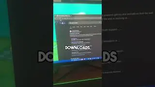 How to play flash games in 2024