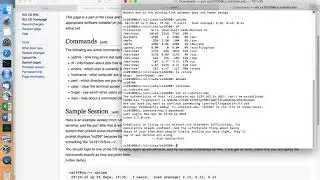 Linux Commands - System Information