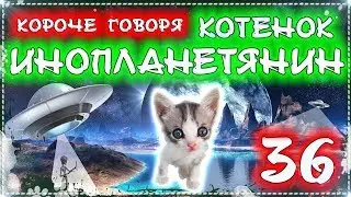 КОРОЧЕ ГОВОРЯ, КОТЕНОК - ИНОПЛАНЕТЯНИН 36 [От первого лица] Бездомный котенок Лайки