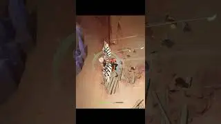 Быстрое путешествие ( Часть 2 ) Genshin Impact  