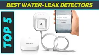 Top 5 Best Water-Leak Detectors in 2024