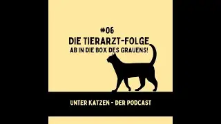 UnterKatzen #06: Die Tierarzt-Folge - Ab in die Box des Grauens!