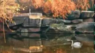 Софіївка