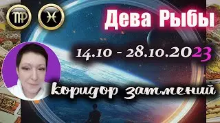 Коридор затмений | Дева Рыбы
