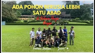 ada pohon berusia lebih 1 abad  di Kebun Raya Boogor