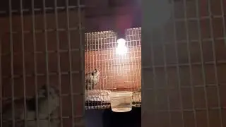Фруши дар масква 3000