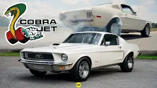 1 of 50 Rare 1968 Mustang Cobra Jet 