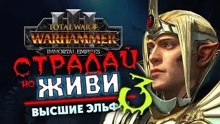 Имрик в Total War Warhammer 3 прохождение за Высших Эльфов в Immortal Empires - #3