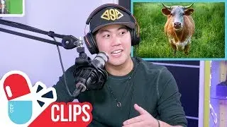 Will incest, pedophilia, and bestiality be wrong in the future?