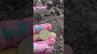 Златник 😁 
