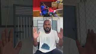 గంగవ్వ  చీఫ్ కాంటెండర్ | My Village Show