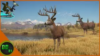 Tree Stand Hunting Whitetails! Call Of The Wild