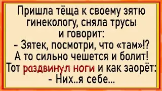 Как теща МОХНАТКУ показала! Сборник свежих анекдотов! Юмор!