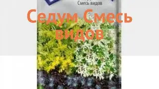 Седум обыкновенный Смесь видов (smes vidov) 🌿 обзор: как сажать, семена седума Смесь видов