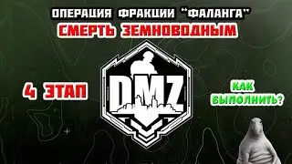 Гайд DMZ | 