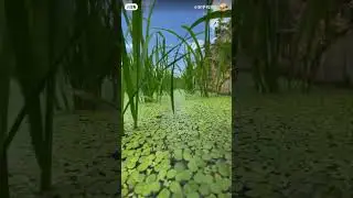 It turns out that under the wheat field is an underwater wonderland