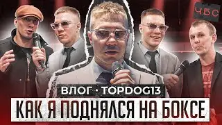 Чибис поднялся на боксе.Влог TopDog 13.