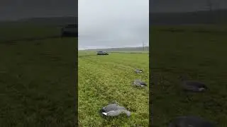 Развлекаемся в полях😏 