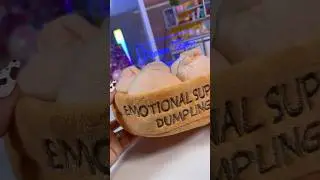 Emotion Support Dumplings 🥟 