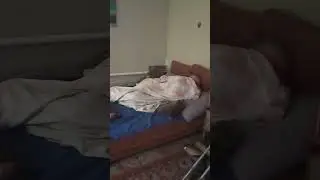 Просыпайтесь, пора вставать