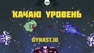 Качаю уровень в Dynast.io / Династ ио / Дунаст ио