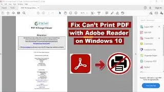 How to Fix Can’t Print PDF with Adobe Reader on Windows 10 | Easy Solutions
