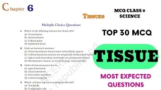 Best MCQ Tissue Class 9 Exemplar || CLASS 9 Science Mcq | Class 9 Tissue Questions 