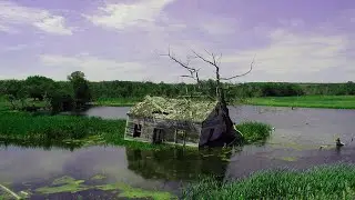 ПОСЛЕ СМЕРТИ БАБУШКИ КТО ТОЛЬКО НЕ ПЫТАЛСЯ ЖИТЬ В ЭТОМ ДОМЕ!