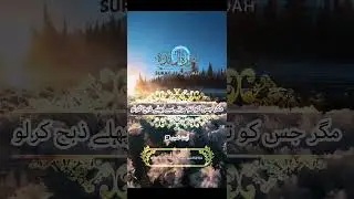 Surah Al Maida Ayat number 3 