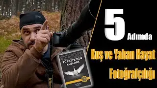 5 Adımda Kuş ve Yaban Hayat Fotoğrafçılığına Giriş | Birds and Wildlife Photography