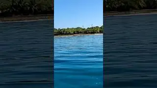 Мальдивы. Вид на остров-резорт с океана. Мальдивы за 56 тысяч рублей с перелетом. @matematika777