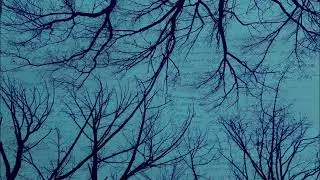 Небослов - Печаль