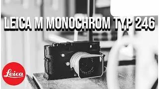 Leica M Monochrom Typ 246 - All in on Black & White