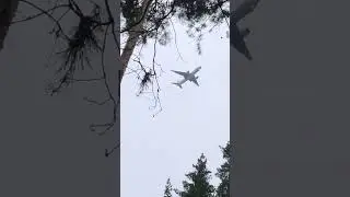 Самолёт ✈️ заходит на посадку над лесополосой.