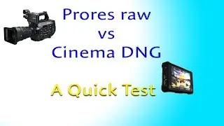 Prores Raw vs CDNG - A Quick Test