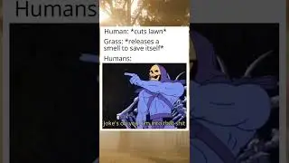 Random memes #funnymemes #shorts