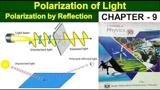 Polarization of Light | Brewster’s Law | Polarized Light | Class 11 physics | Study With ME