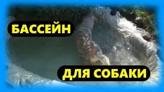 С ЯМЫ ПОЛУЧИЛСЯ НЕПЛОХОЙ ПРУД ДЛЯ КУПАНИЯ СОБАКИ